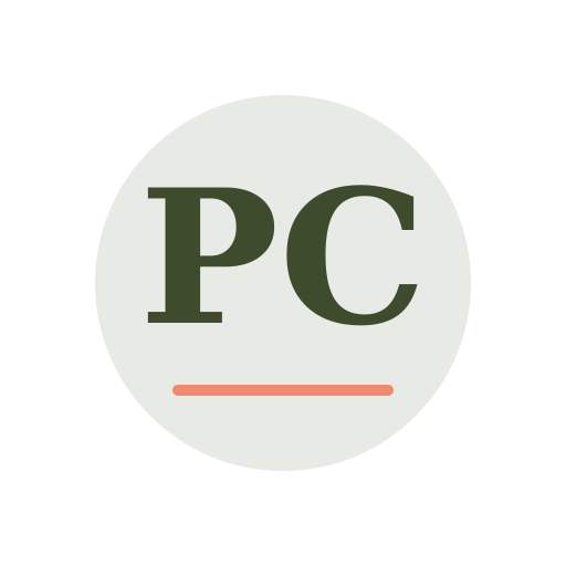 Pato Chimney Services logo